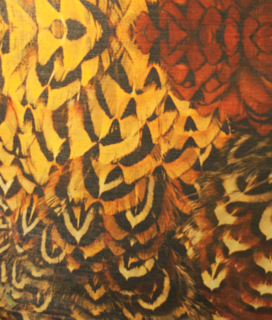 Aves (on gold metallic grasscloth)