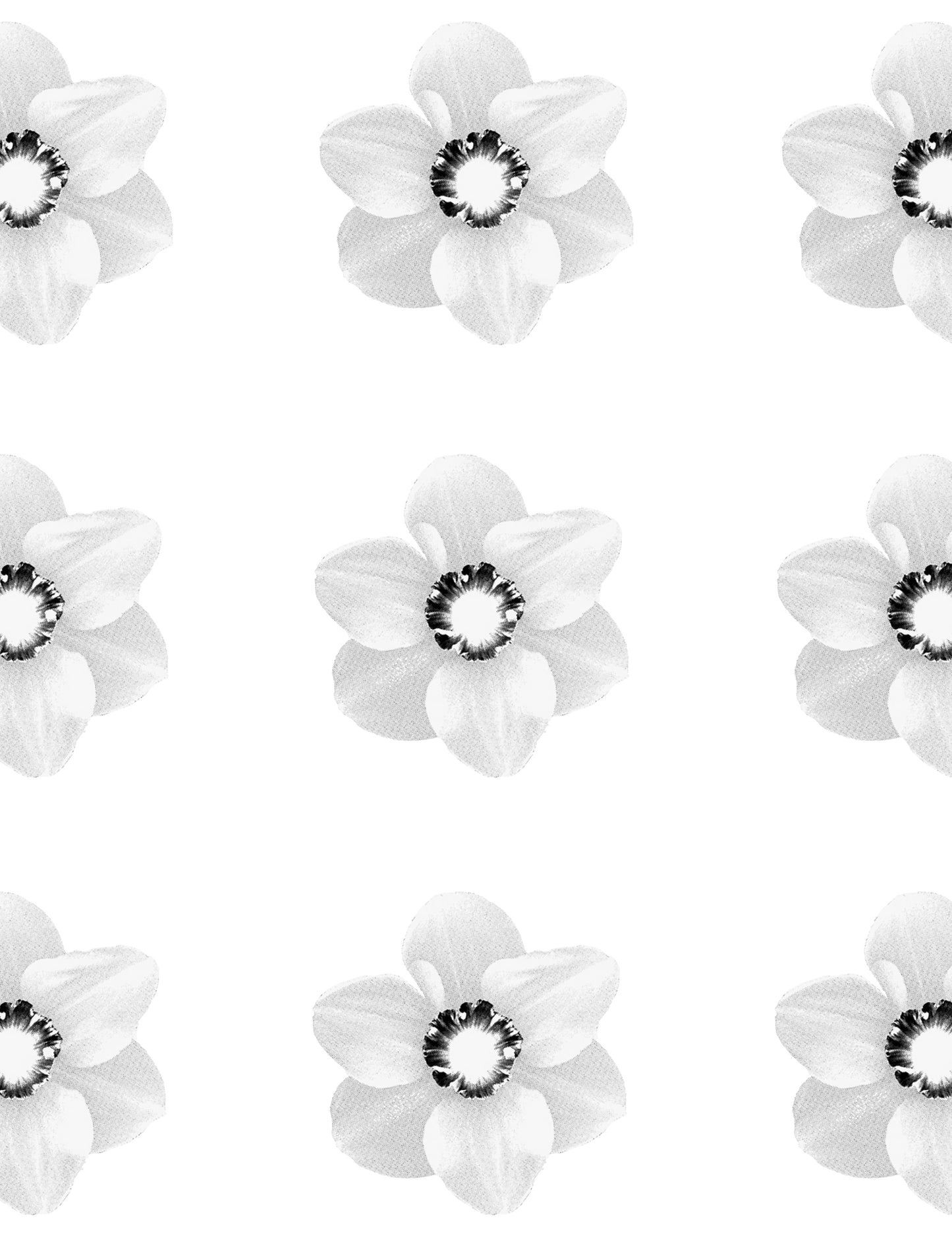 Blossom Dearie, by Paul Solberg