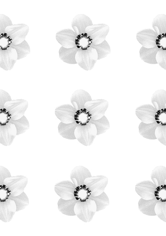 Blossom Dearie, by Paul Solberg