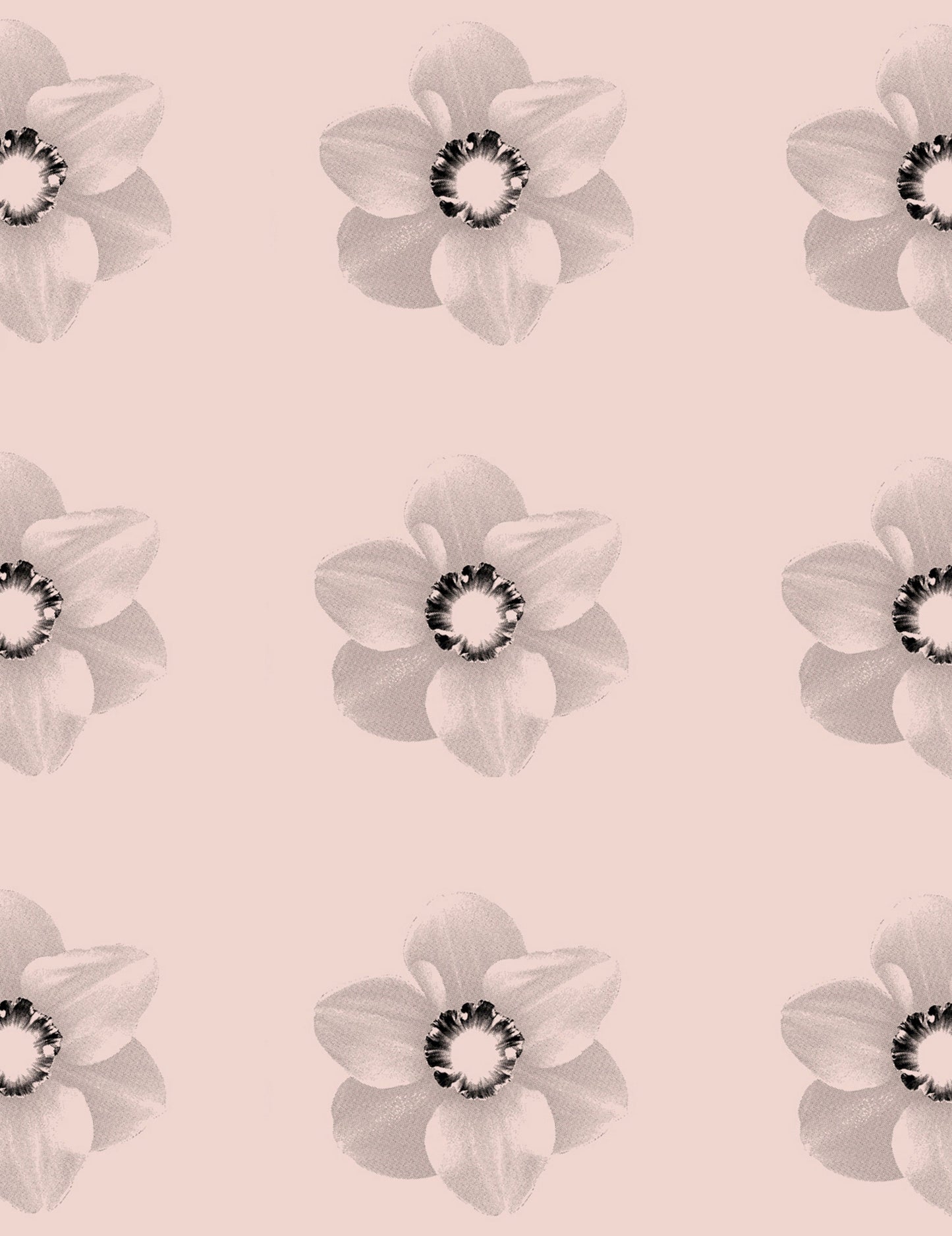 Blossom Dearie, by Paul Solberg