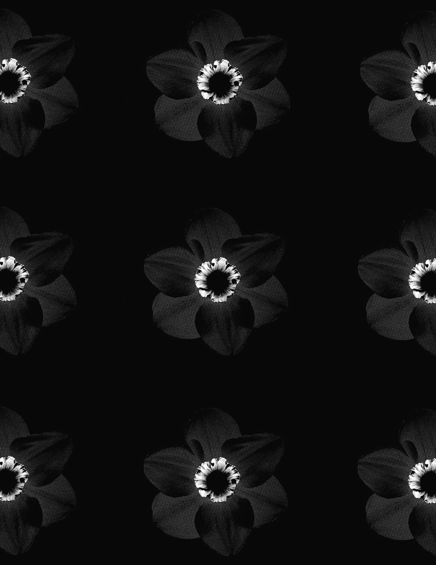 Blossom Dearie, by Paul Solberg