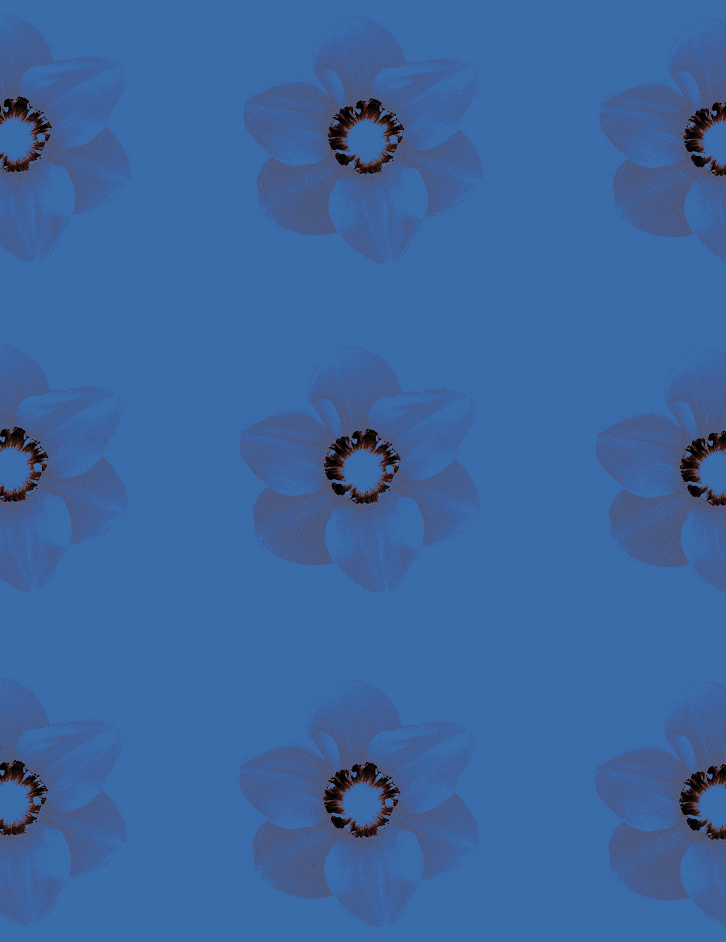 Blossom Dearie, by Paul Solberg