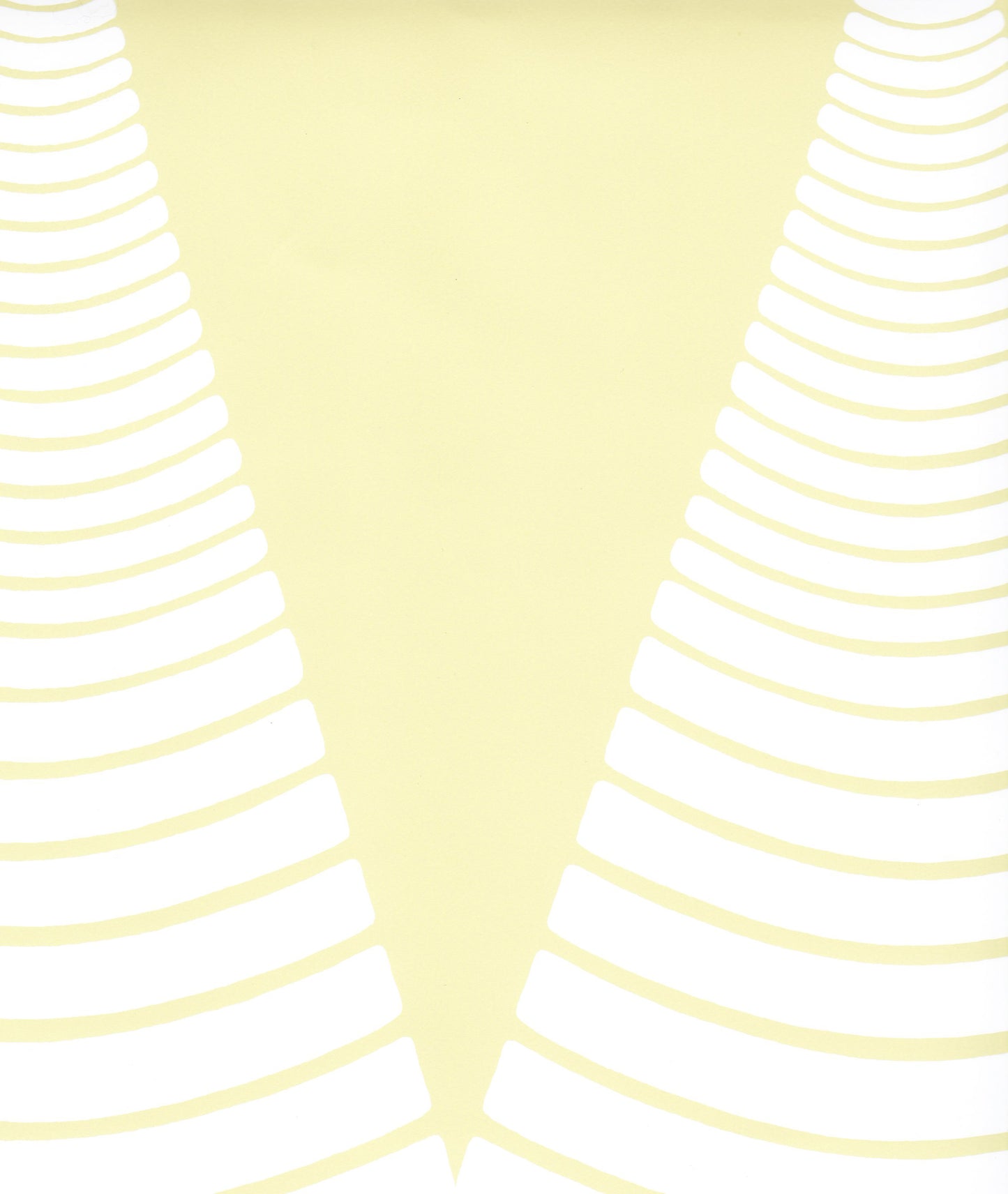 CONES