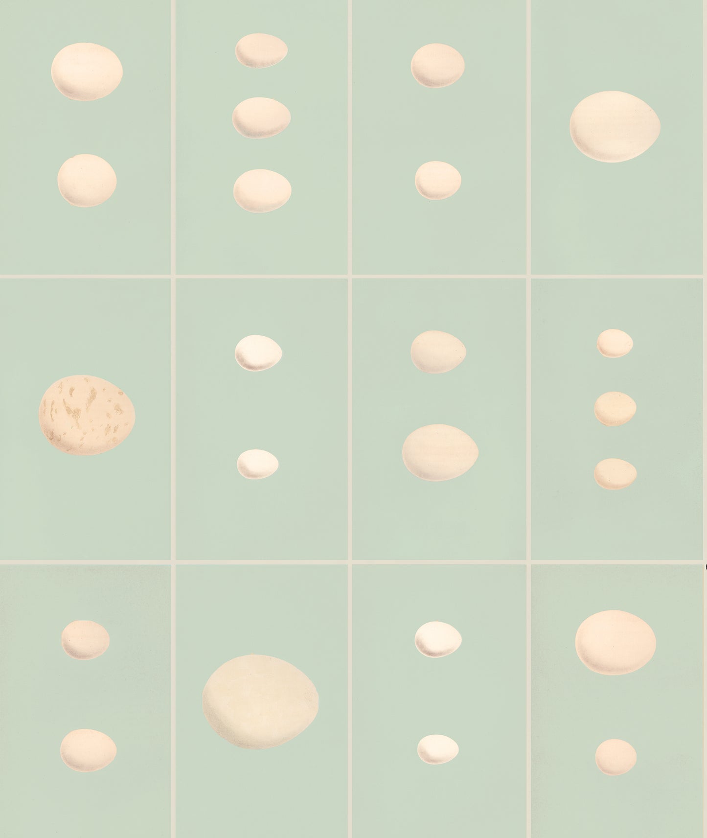 EGGS, by John Derian