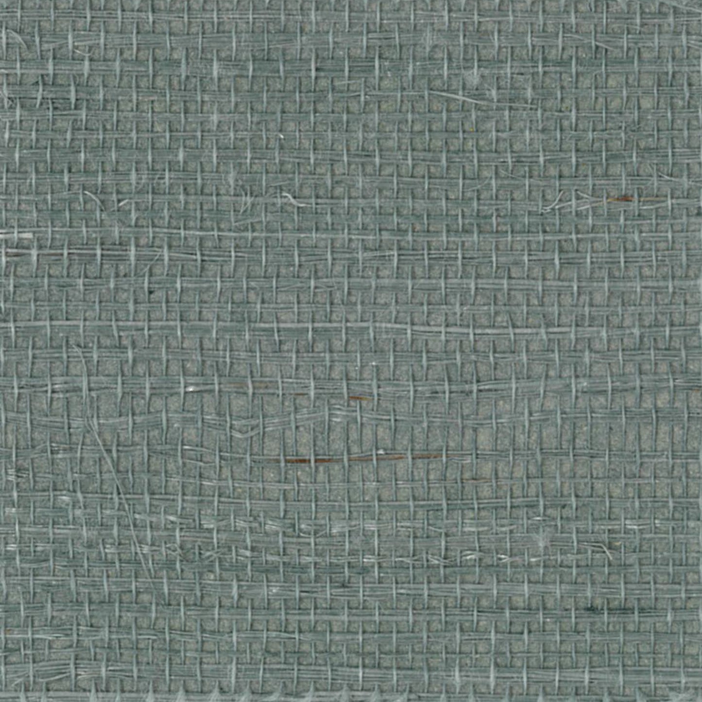 Grasscloth - Light Blue