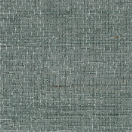 Grasscloth - Light Blue
