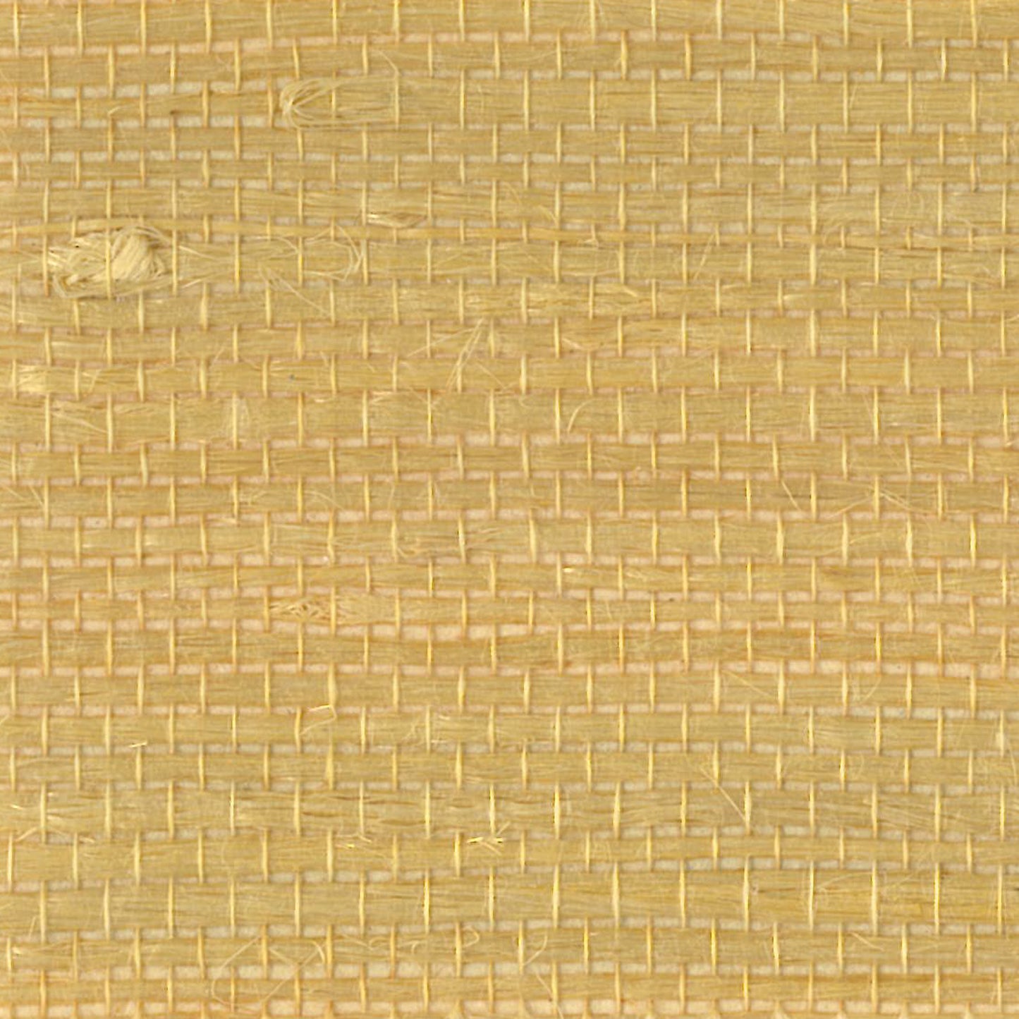 Grasscloth - Natural