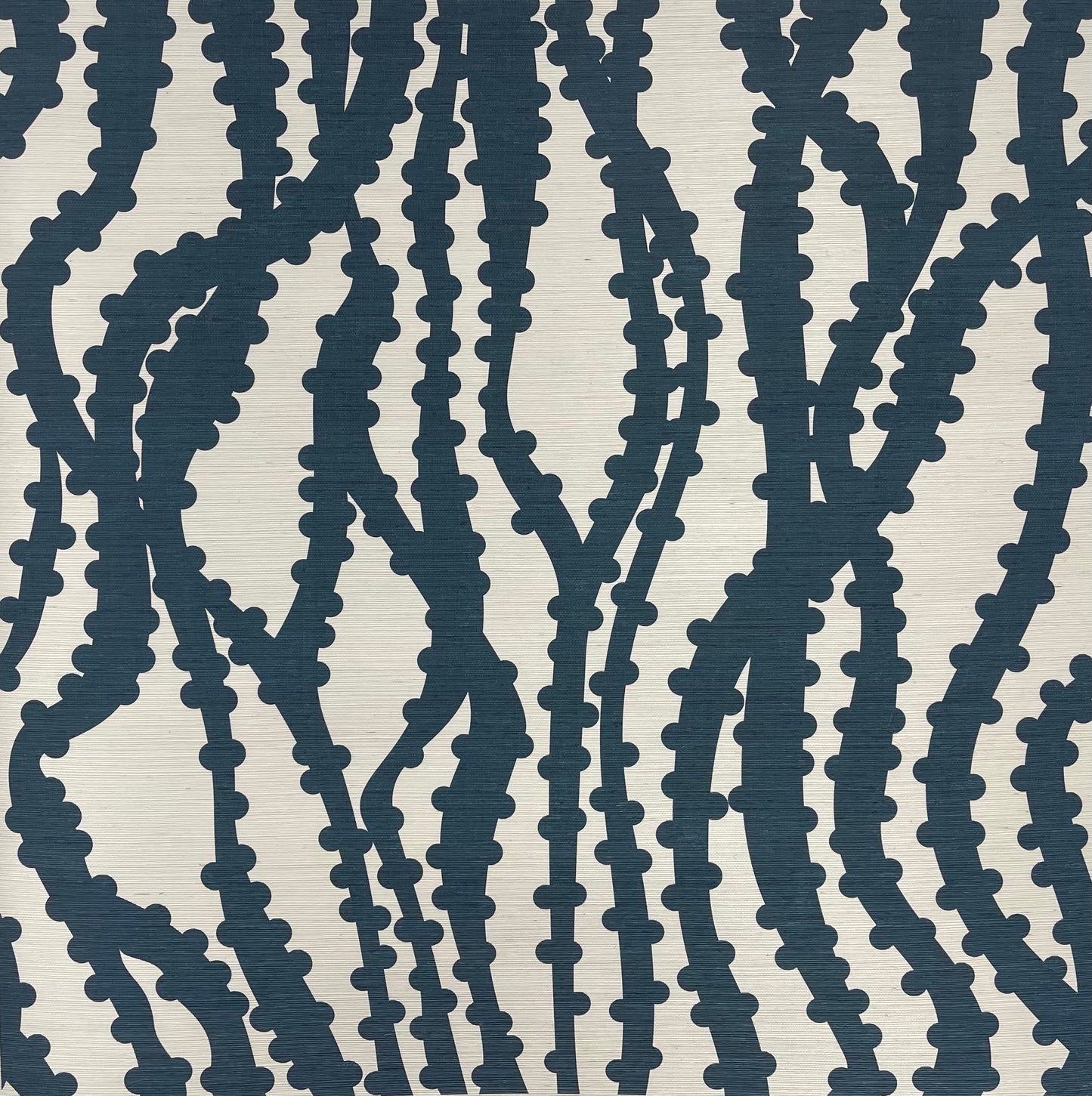 Ribbon on Sisal by Peter Valcarcel