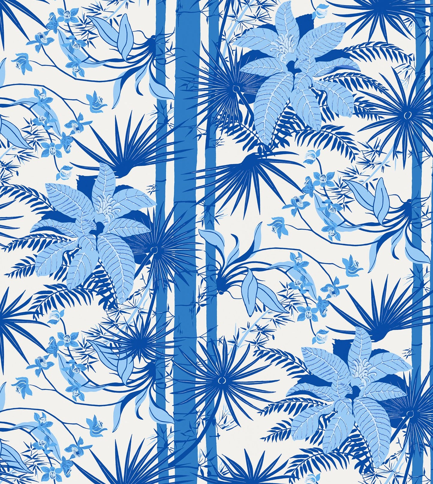 Orquidea, by Gaspar Saldanha