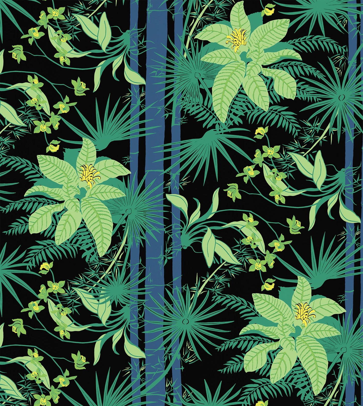 Orquidea, by Gaspar Saldanha