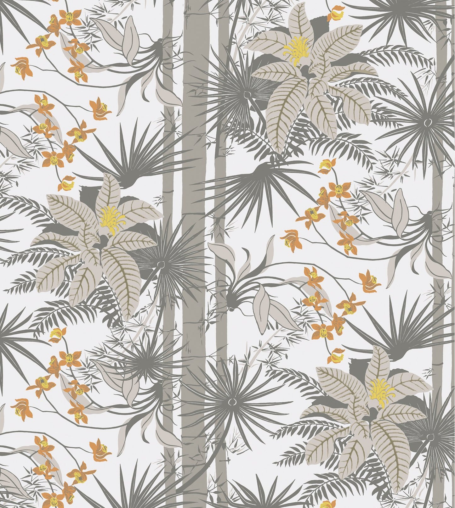 Orquidea, by Gaspar Saldanha