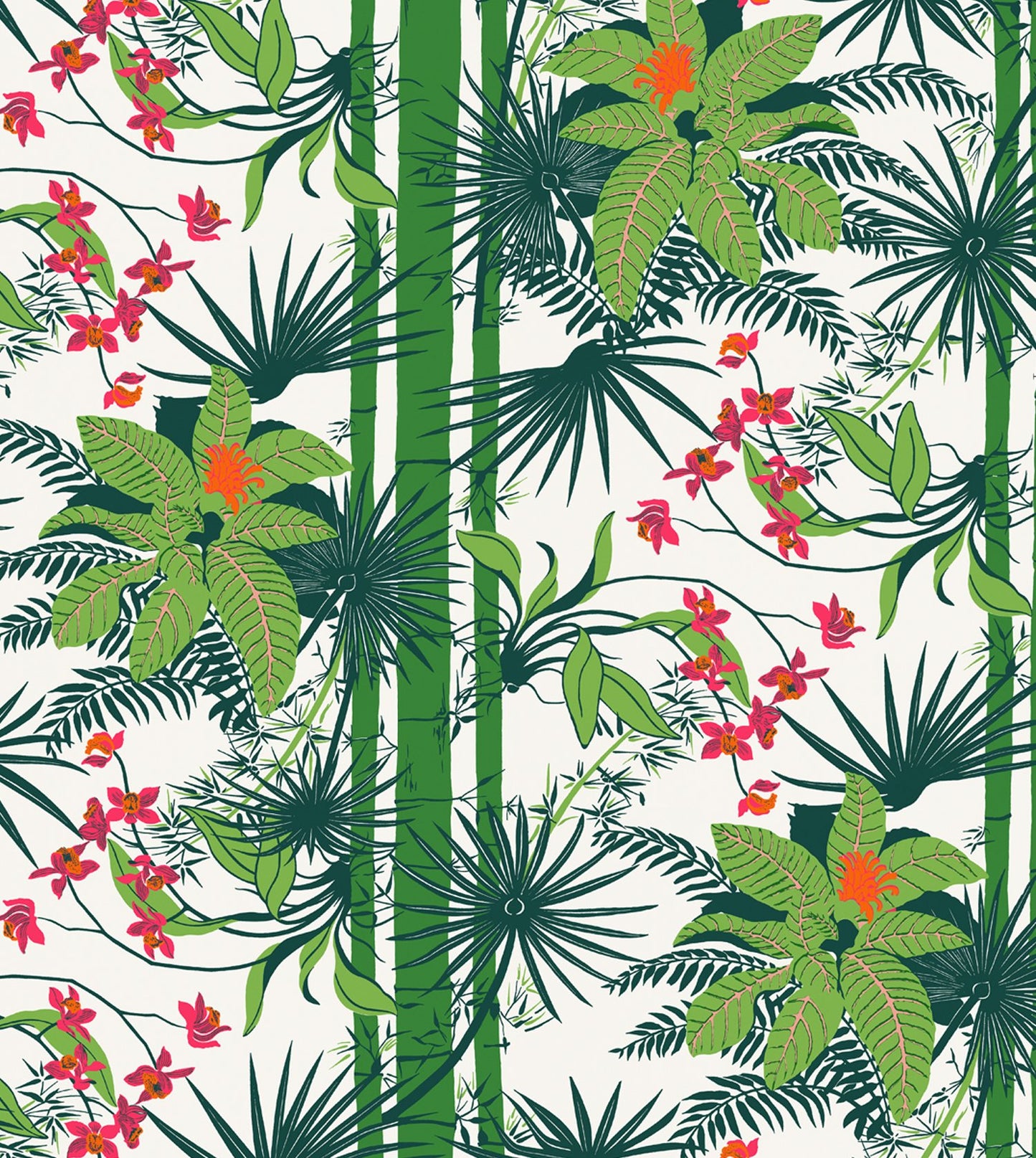 Orquidea, by Gaspar Saldanha