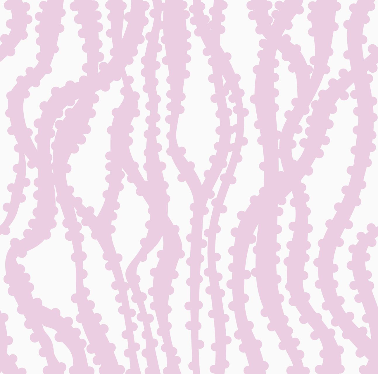 Ribbon by Peter Valcarcel