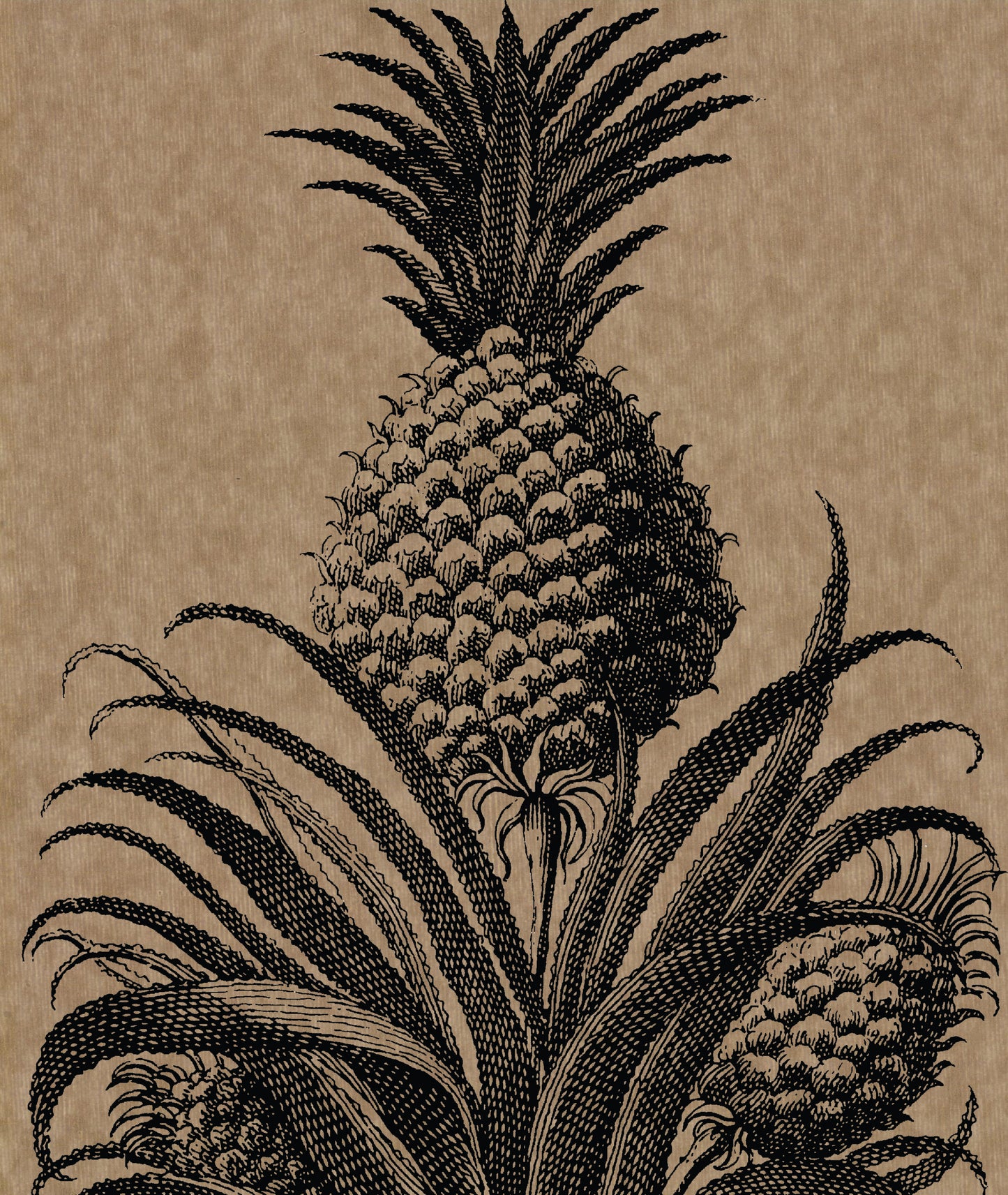 PETITE PINEAPPLE