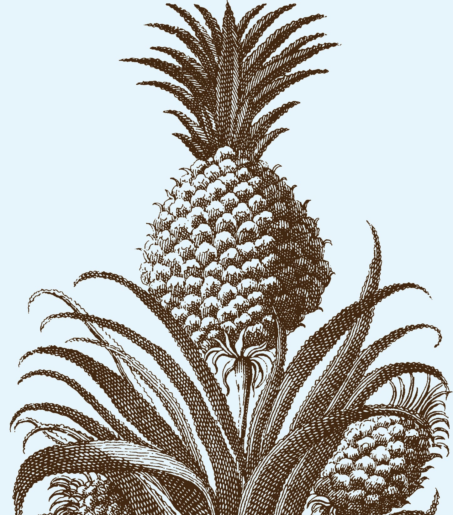 PETITE PINEAPPLE