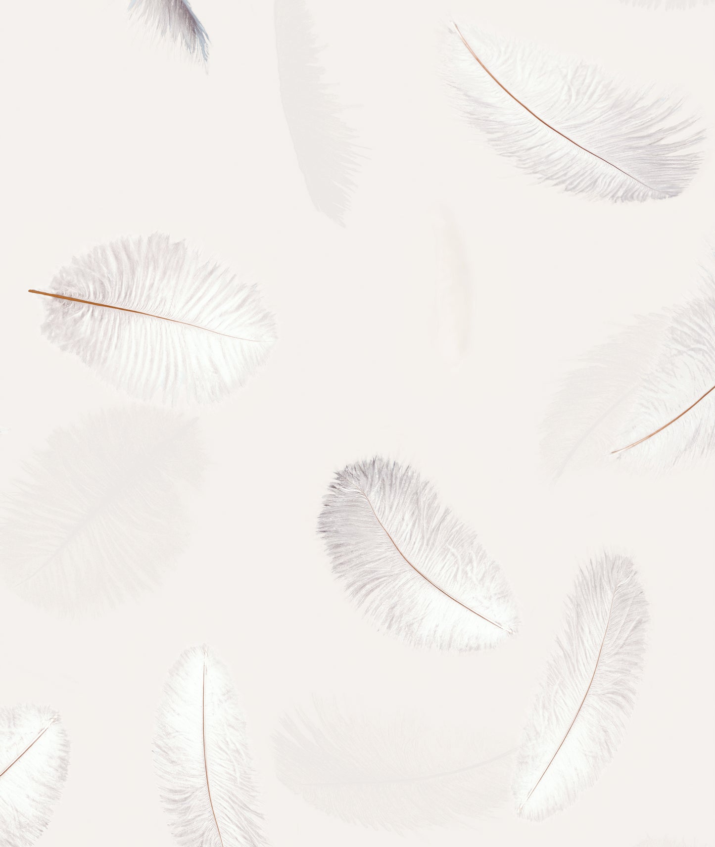 PILLOWFIGHT, by Stefan Hengst