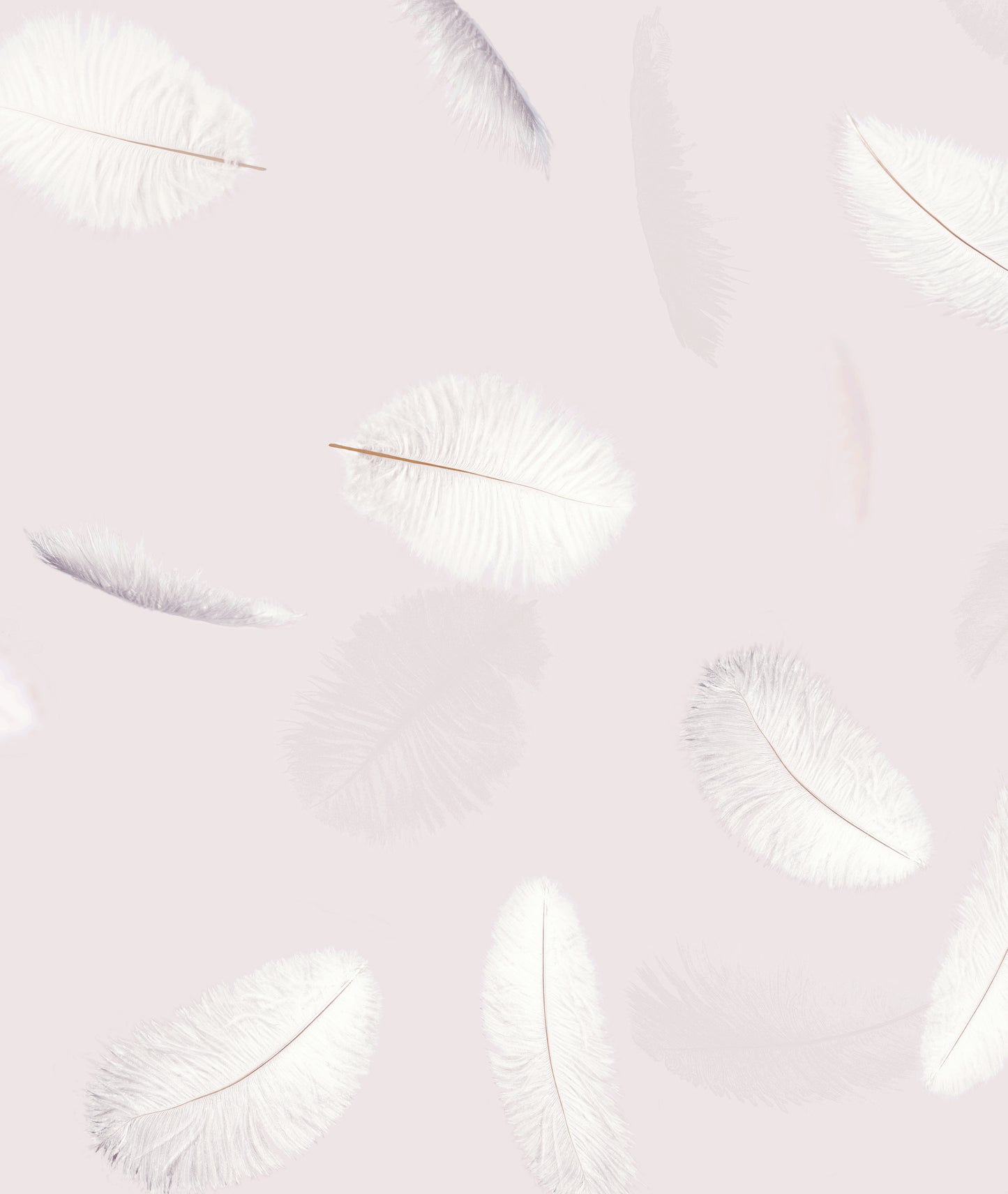 PILLOWFIGHT, by Stefan Hengst