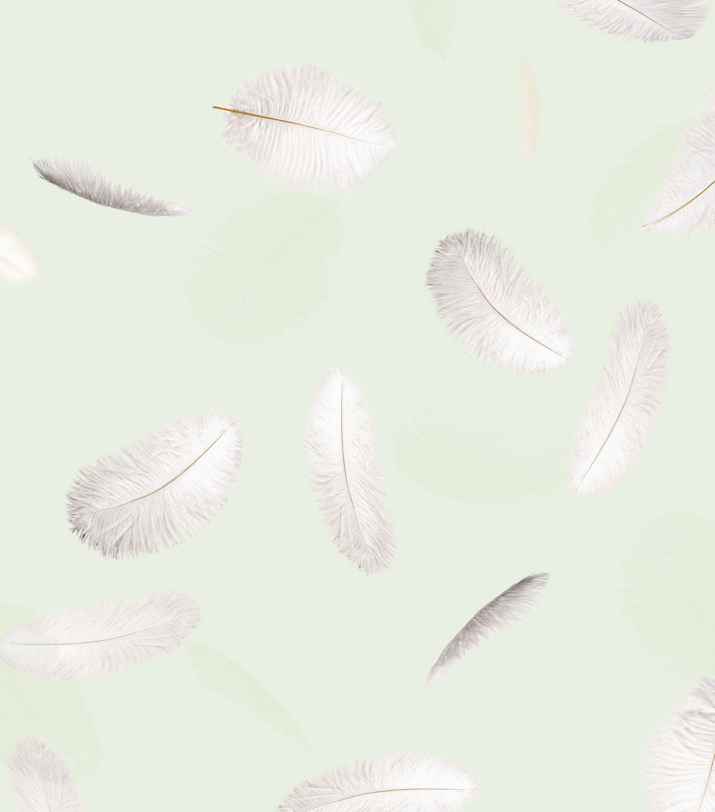 PILLOWFIGHT, by Stefan Hengst