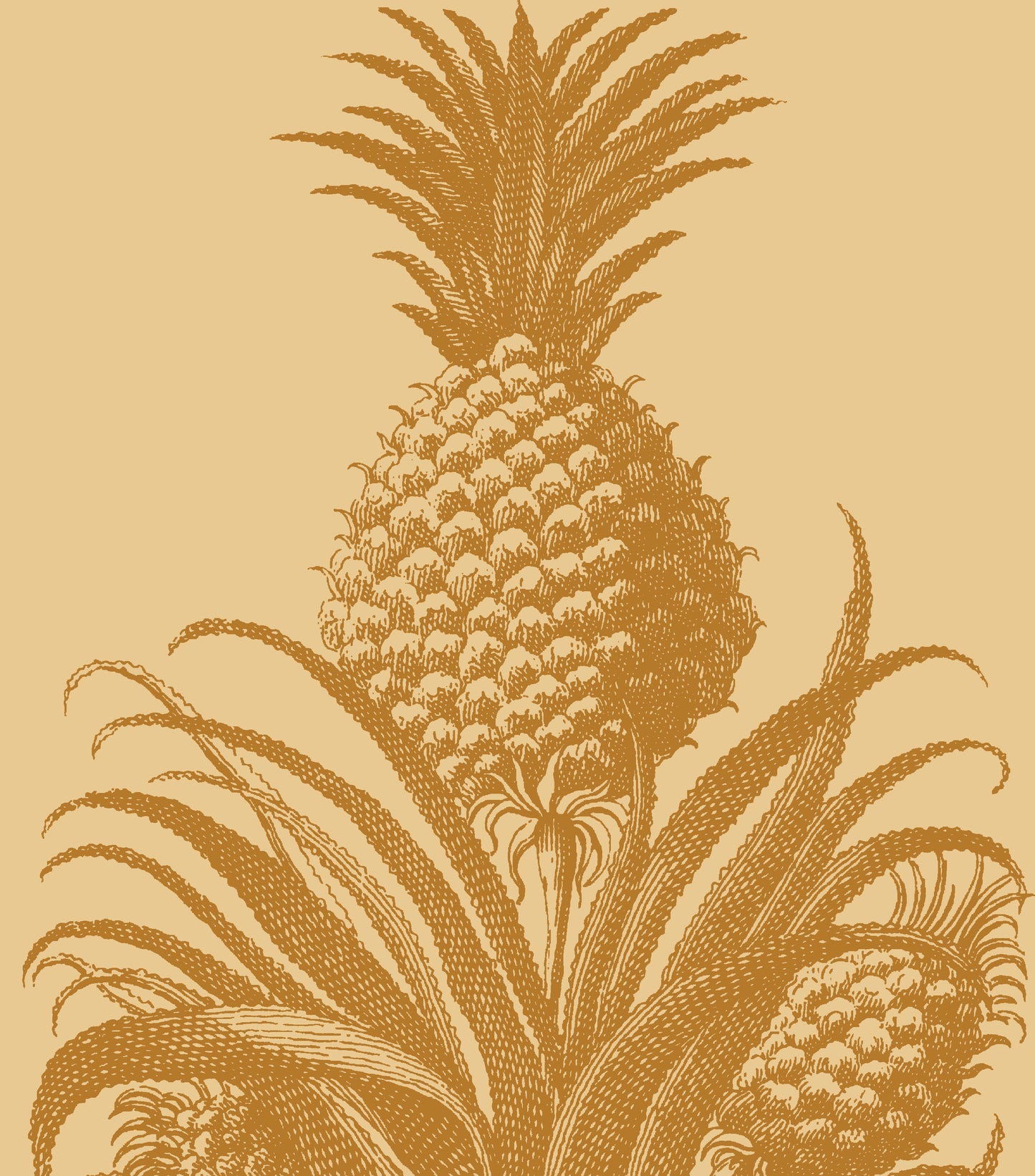 PINEAPPLE