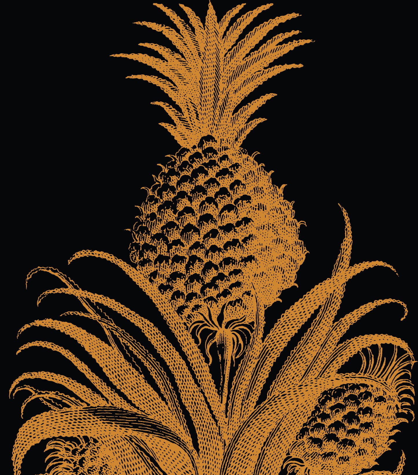 PINEAPPLE