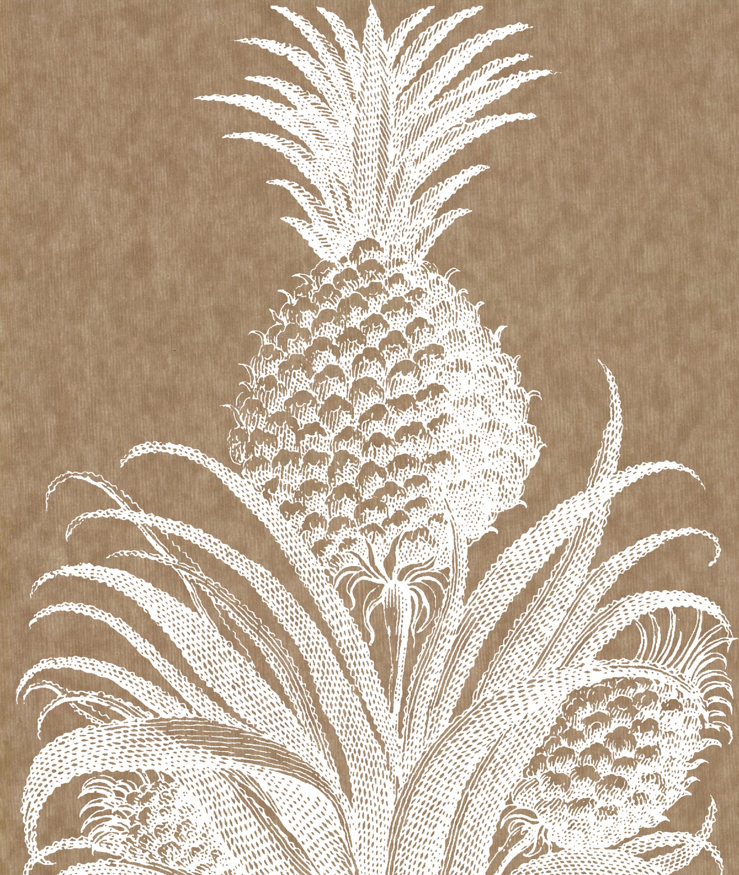 PINEAPPLE