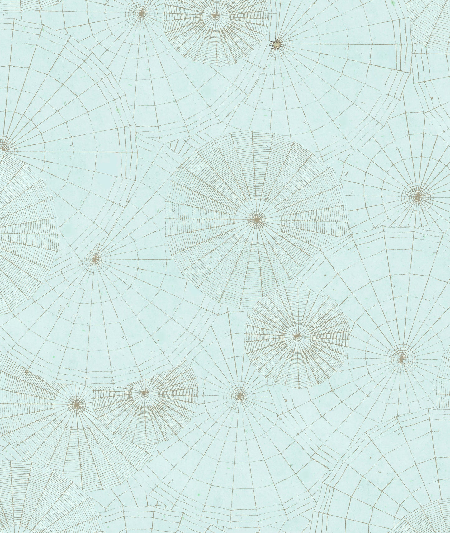 WEBS, by John Derian