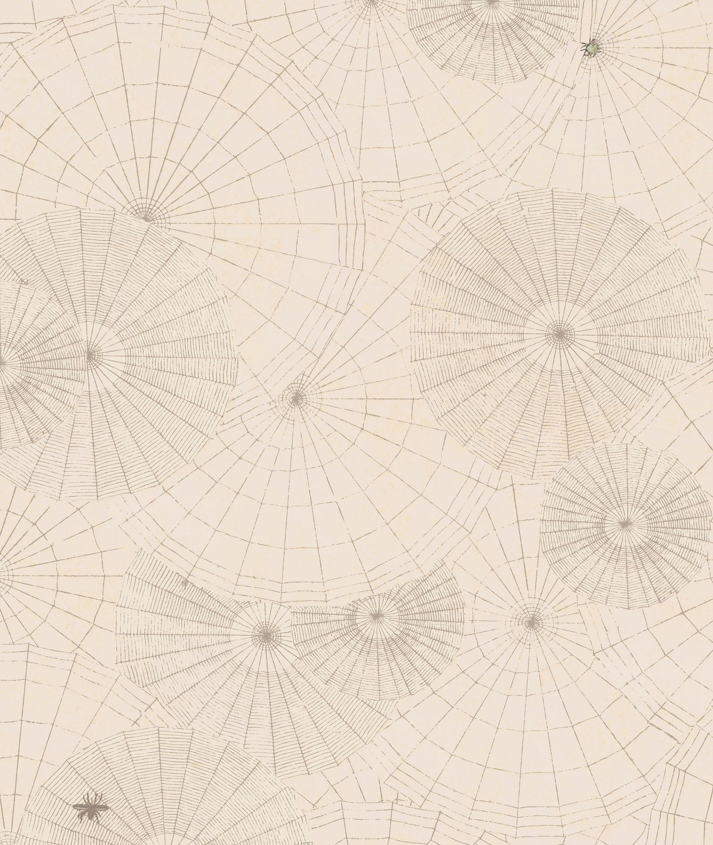 WEBS, by John Derian