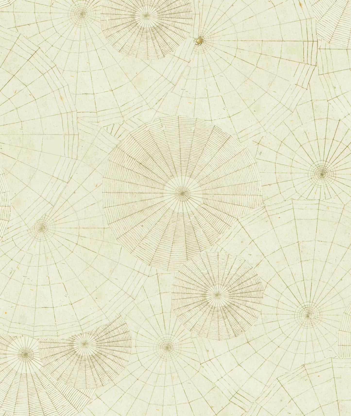 WEBS, by John Derian