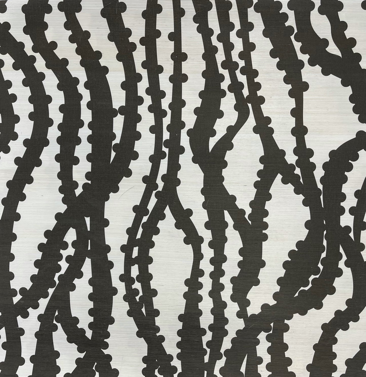 Ribbon on Sisal by Peter Valcarcel