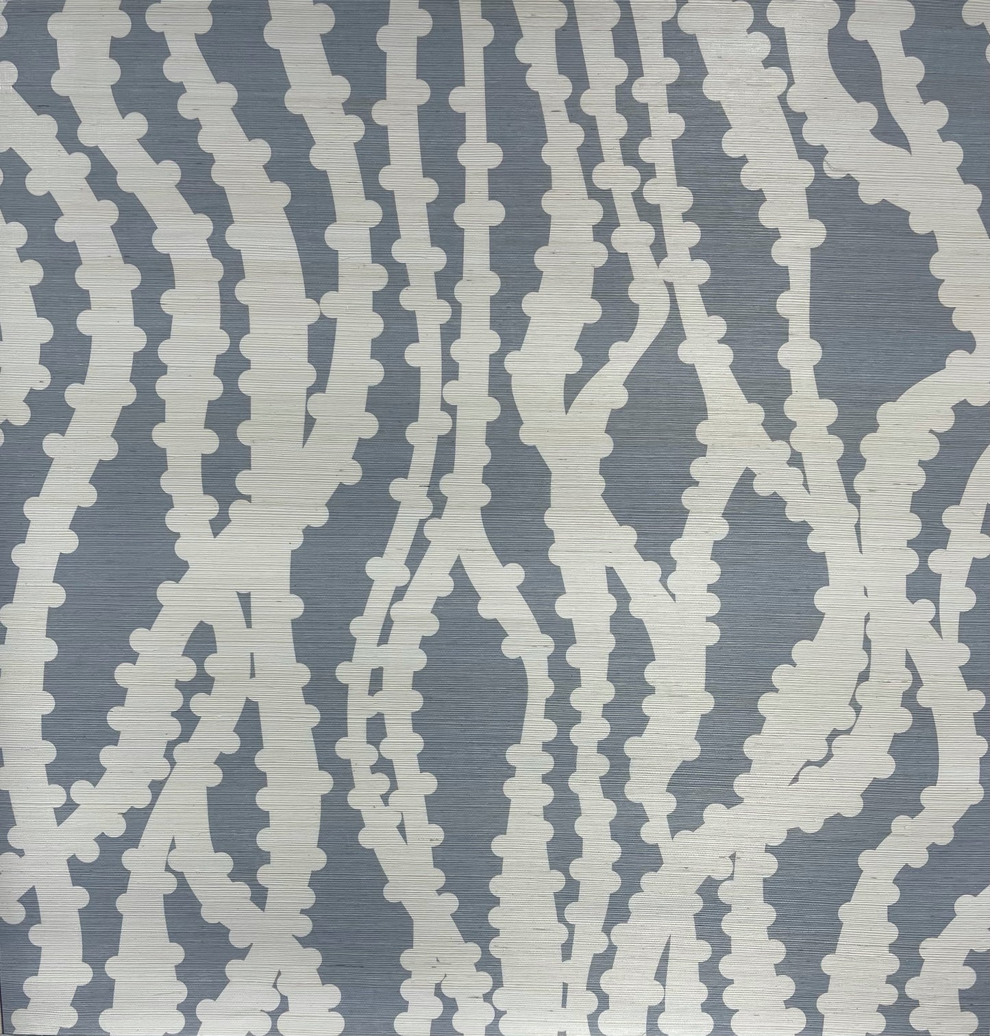 Ribbon on Sisal by Peter Valcarcel