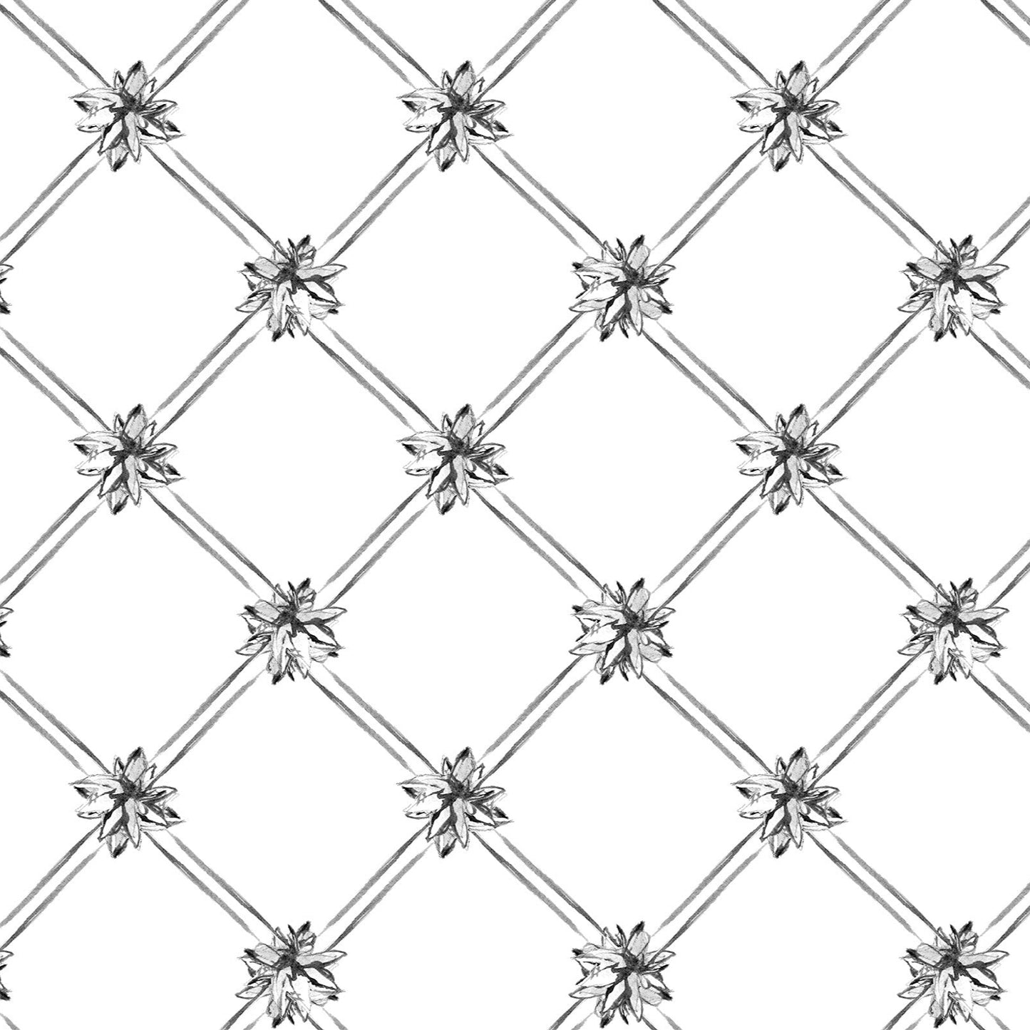 Lotus Lattice