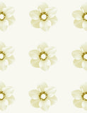 Blossom Dearie, by Paul Solberg